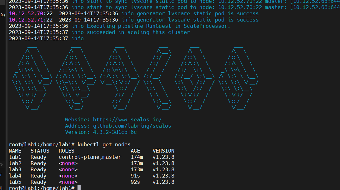 image-20230914173920669