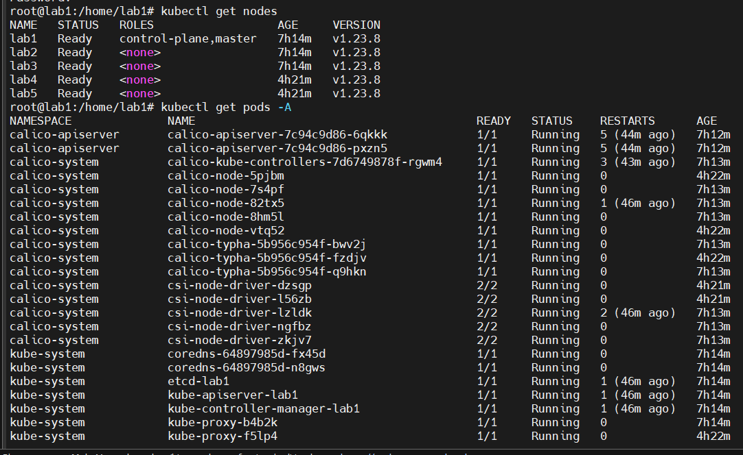 image-20230914215807230