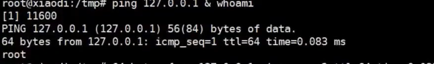 image-20241213130653401