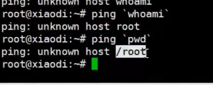 image-20241213130737474