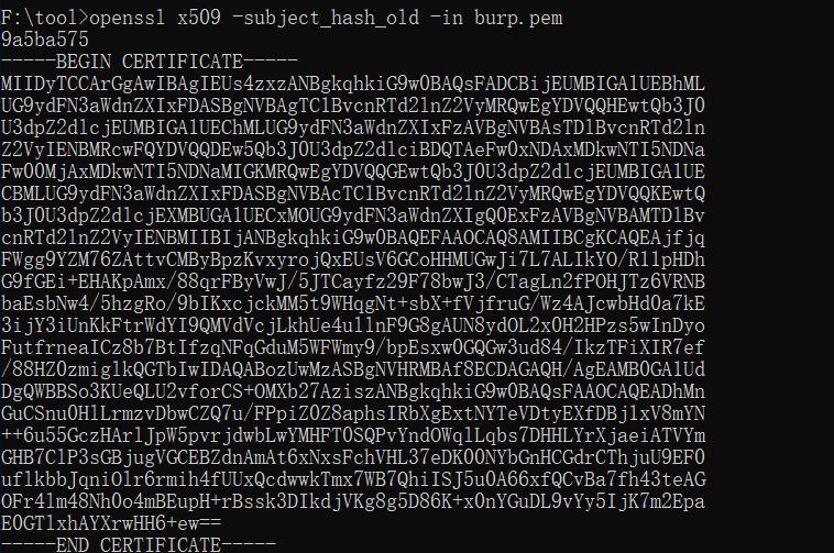 image-20241214181633917